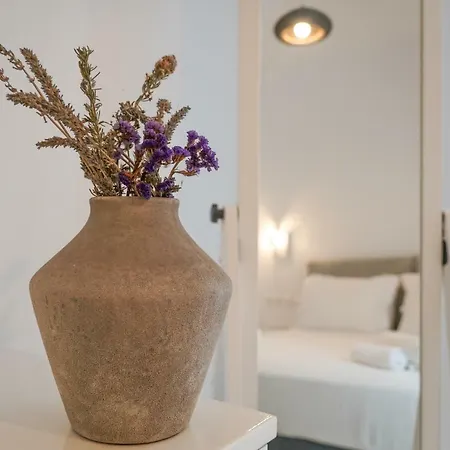 Appartement Elia Horizon Mykonos